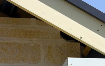 soffit repair Cuttybridge